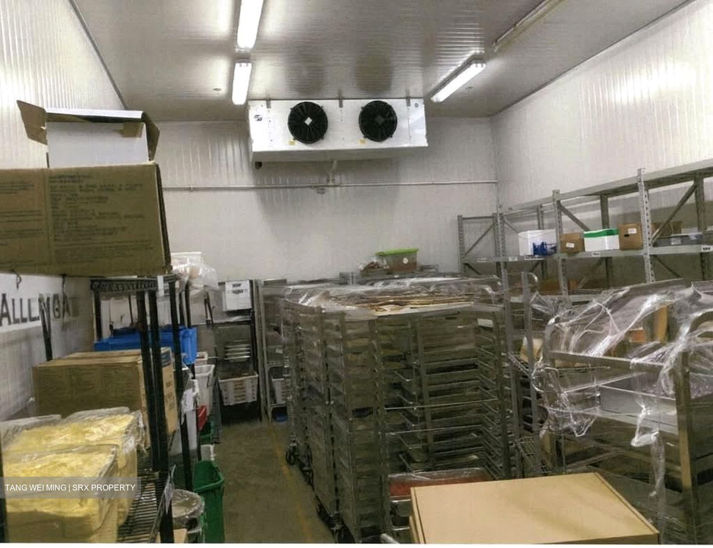 Senoko Industrial Estate (D27), Factory #550270141